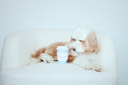 The Elegance of Ease: Redefining Style for Everyday Life